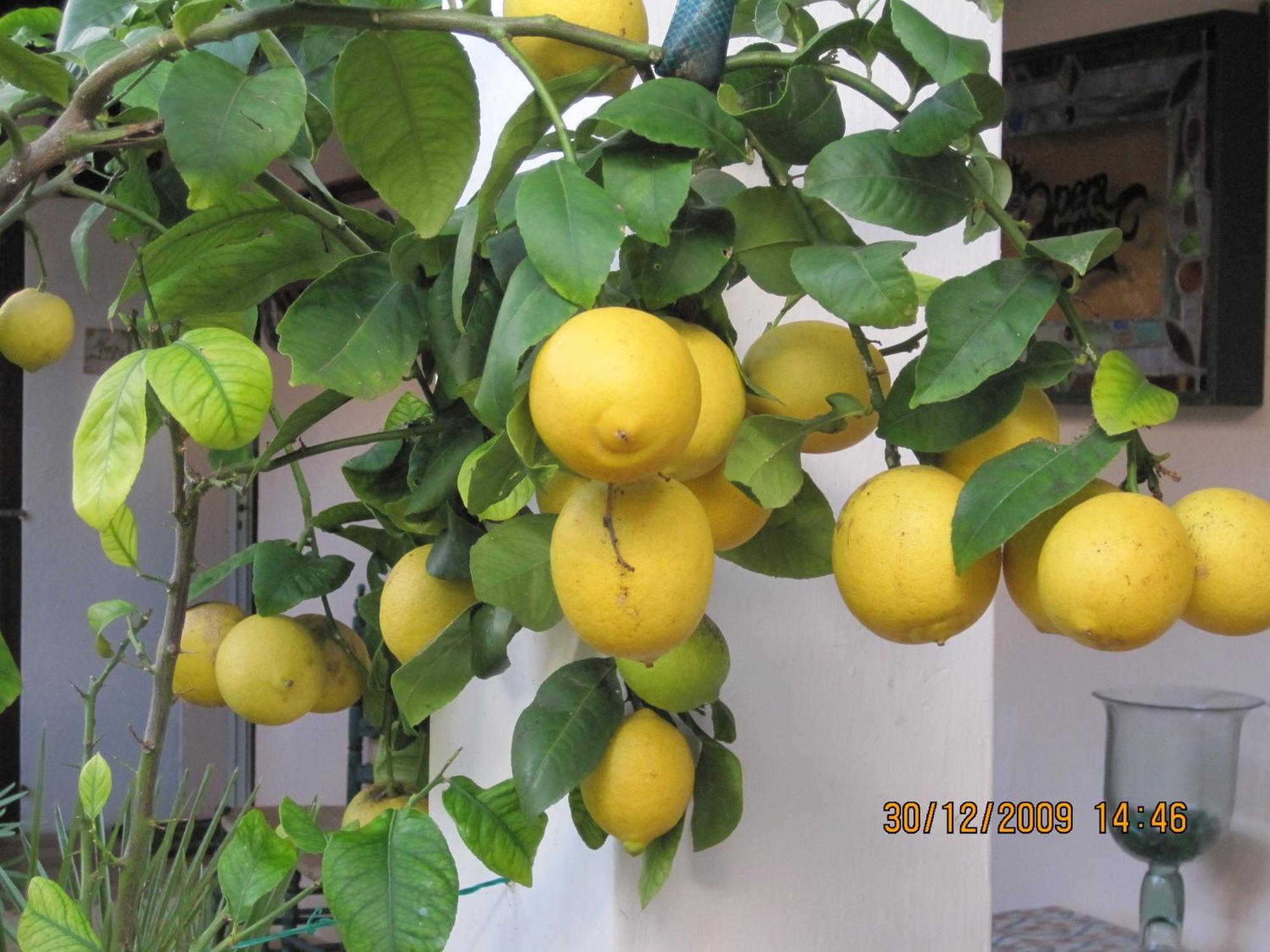 福乐斯酒店 Cala D´Or 外观 照片